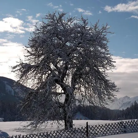 Schmittenhof Biberwier