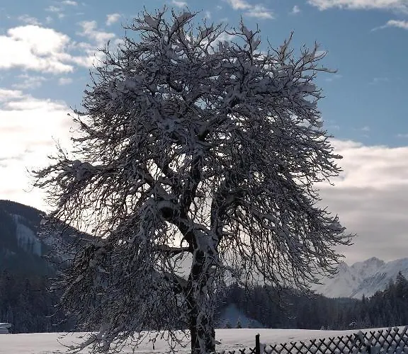 Schmittenhof Biberwier