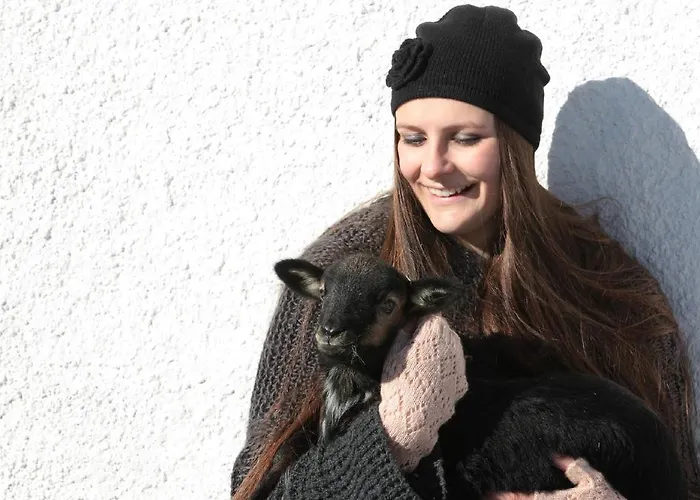 Schmittenhof Prázdninový dům *